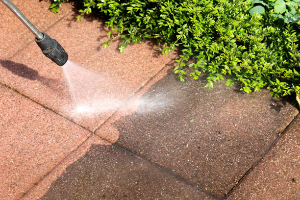 Best Commercial Building Pressure Washing  in Dalhart, TX